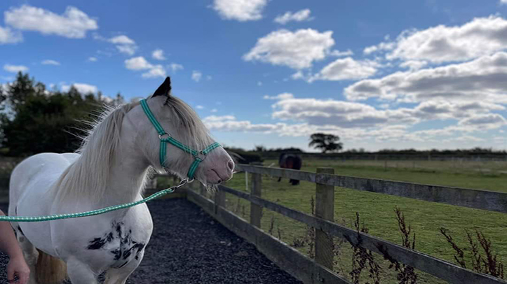 To treat or not to treat?