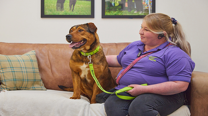 Pets at Home spreads the love with £350,000 charity donation this Valentine’s Day