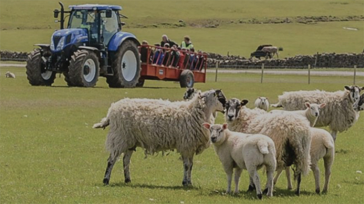 SCOPS encourages farmers to consider their pre-lambing worming treatments this year