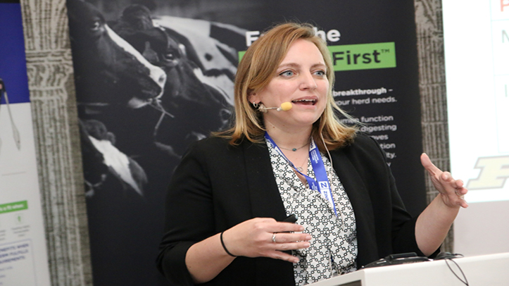 Transition nutrition: The key to productivity