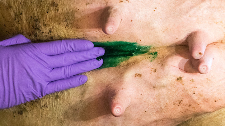 NoBACZ Healthcare a new, waterproof and antibiotic-free gel barrier