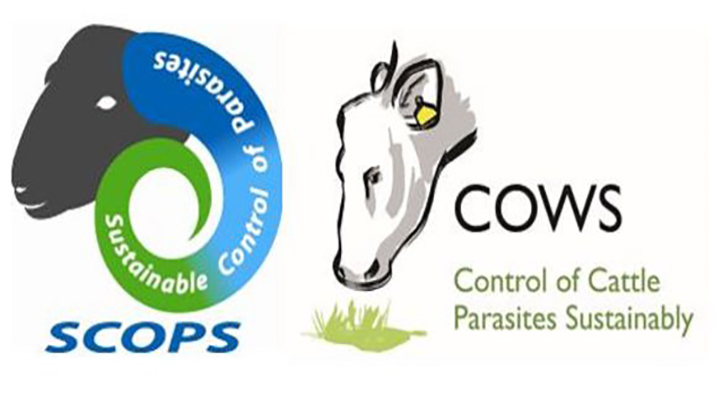SCOPS and COWS welcome BVA’s latest policy and highlight extent of work already done