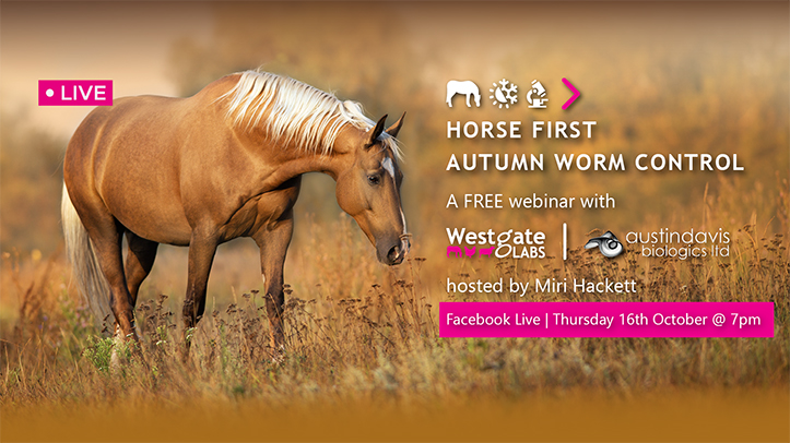 Free webinar: Horse First Autumn Worm Control