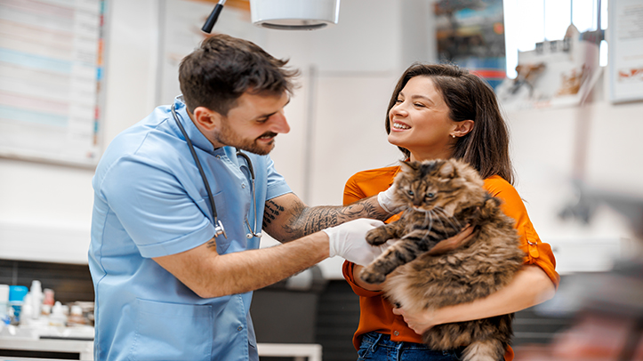 Ceva and International Cat Care launch season two of cat handling training videos