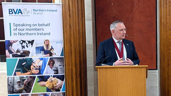 BVA calls for Northern Ireland vets to unite behind regulatory reform as CMA backs regulation of practices