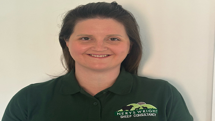 Mixed forage quality puts pressure on ewe condition ahead of lambing