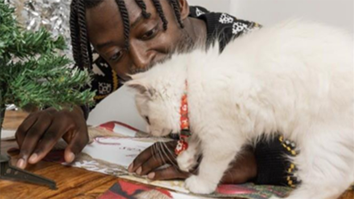 Pets at Home reports that festive spending on cats has risen 26%