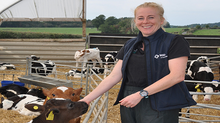 New national colostrum survey launched to improve calf health and welfare