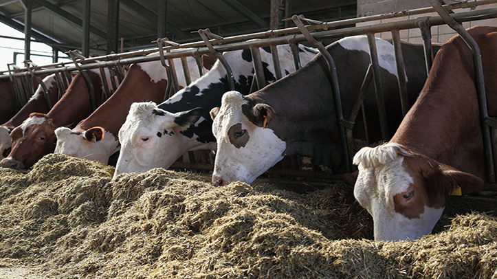 Time to feed nutrients not numbers