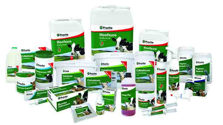 Provita unveils strategic sales alliance with Norbrook