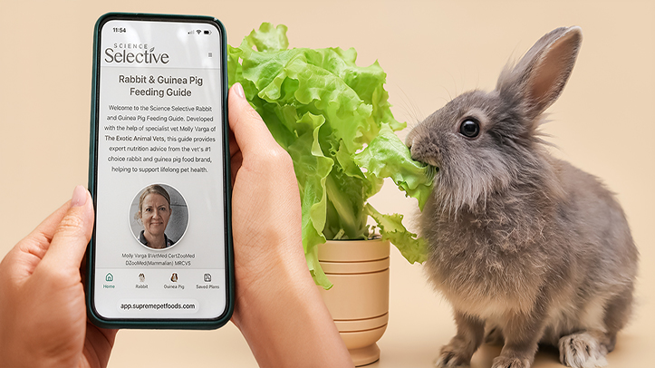 New feeding guide app removes the guesswork from small pet nutrition