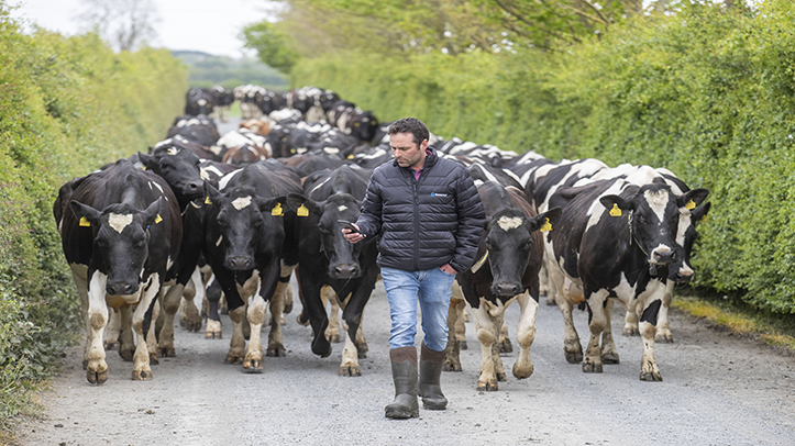 Webinar series will outline the benefits of herd monitoring technologies