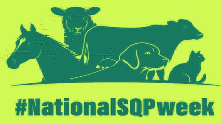 AMTRA launches National SQP Week feedback survey