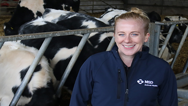More farmers testing colostrum quality as focus on calf immunity grows