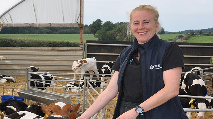 Coronavirus link highlights need to strengthen calf respiratory disease protection