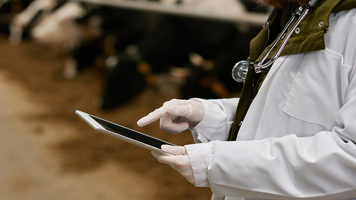 BVA launches toolkit to help vets use AI to tackle client self-diagnosis