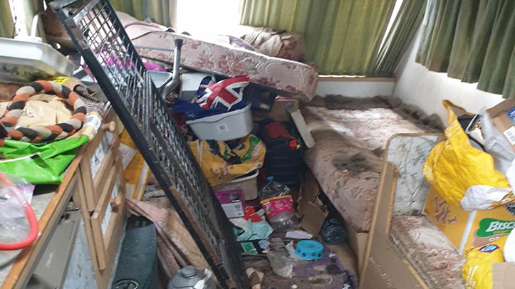 RSPCA finds 21 dogs and a cat found living in filthy crates in Cumbria